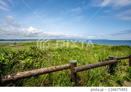 釧網本線原生花園駅周辺はオホーツク海と濤沸湖に挟まれた砂丘地帯でした 釧網本線原生花園駅周辺はオホーツク海と濤沸湖に挟まれた砂丘地帯でした 116675991