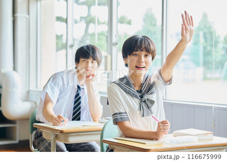 勉強する高校生男女 116675999