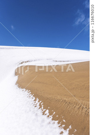 鳥取砂丘の雪景色 鳥取砂丘の雪景色 116676010