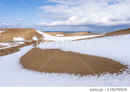鳥取砂丘の雪景色  116676020