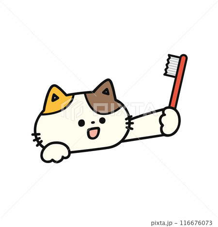 歯ブラシを持ったかわいい猫 116676073