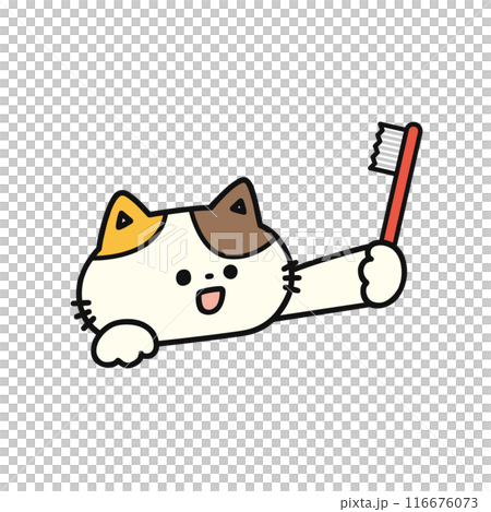 歯ブラシを持ったかわいい猫 116676073