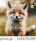 きつね　狐　キツネ 116676389