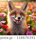 きつね　狐　キツネ 116676391
