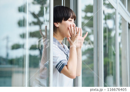 窓から応援する女子高校生 窓から応援する女子高校生 116676405