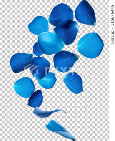 Falling blue rose petals 116676445