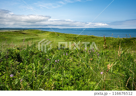 釧網本線原生花園駅裏側の丘から眺めた原生花園とオホーツク海と網走方面の海岸線 116676512
