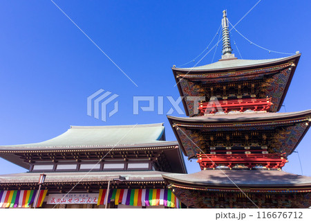 成田山新勝寺 116676712