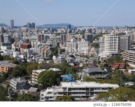 福岡市植物園の展望台からの風景　福岡県福岡市中央区小笹 116676896