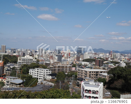 福岡市植物園の展望台からの風景　福岡県福岡市中央区小笹 116676901