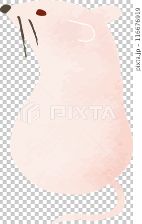 可愛老鼠的手繪風格插圖 可愛老鼠的手繪風格插圖 116676919