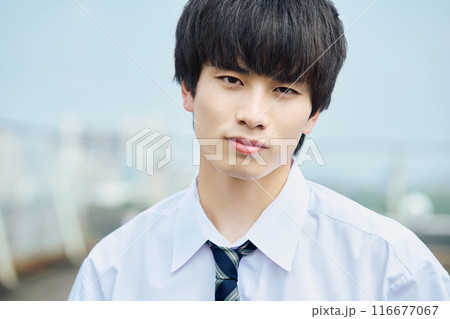 屋上にいる男子高校生 116677067