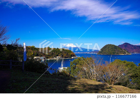 静岡県沼津市 伊豆長浜城から見る富士山 静岡県沼津市 伊豆長浜城から見る富士山 116677166