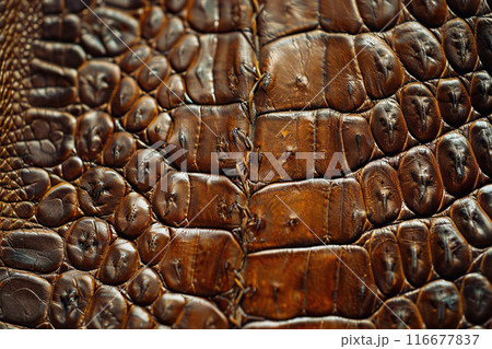Generative ai on theme of beautiful texture crocodile skin for design natural abstract background 116677837