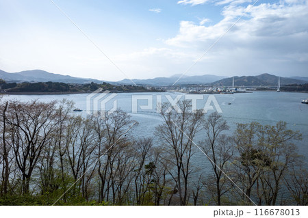 気仙沼大島大橋から見える気仙沼湾横断橋 気仙沼大島大橋から見える気仙沼湾横断橋 116678013