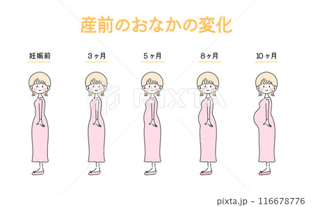 妊娠さんの体の変化【全身イラストセット】 116678776