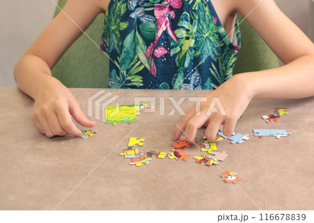 Young teenage girl putting together puzzle on table at home. Toys and activiti for children. Developmental activities at home.  116678839