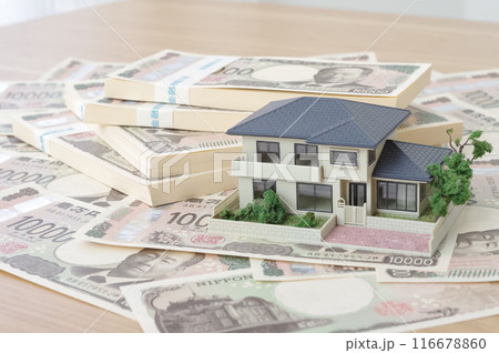 一戸建ての住宅とお金に関するイメージ 一戸建ての住宅とお金に関するイメージ 116678860
