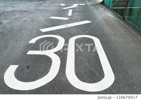 ゾーン30（路面表示） 116678917