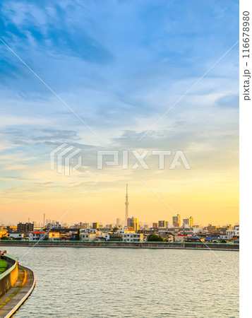東京葛飾奥戸に流れる中川沿いの風景 116678980