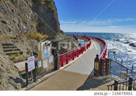 【藤沢市】江の島　岩屋橋 116678981