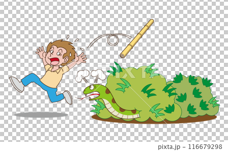 Poking around in the bush to find a snake 116679298