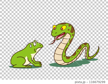 蛇に睨まれた蛙 116679299