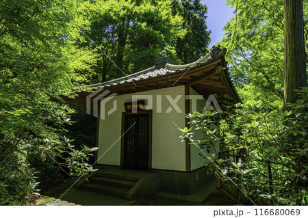 四国八十八箇所81番 白峯寺 廻向堂 香川県坂出市 四国八十八箇所81番 白峯寺 廻向堂 香川県坂出市 116680069