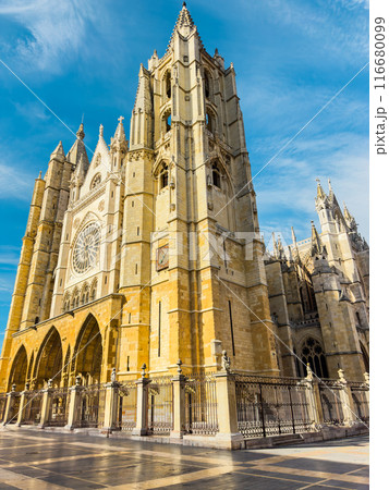 Scenic view of Gothic Cathedral of Leon, Castile and Leon, Spain 116680099