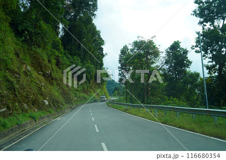Himalayan Roadways of North Bengal with Green Nature 5 116680354