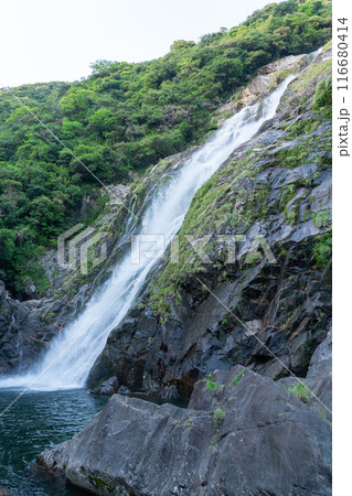 屋久島の大川の滝 屋久島の大川の滝 116680414