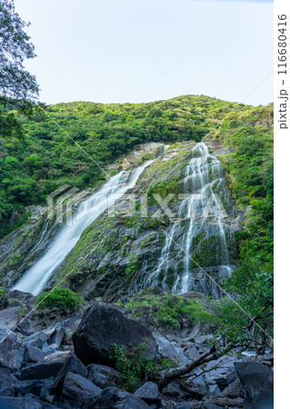 屋久島の大川の滝 屋久島の大川の滝 116680416