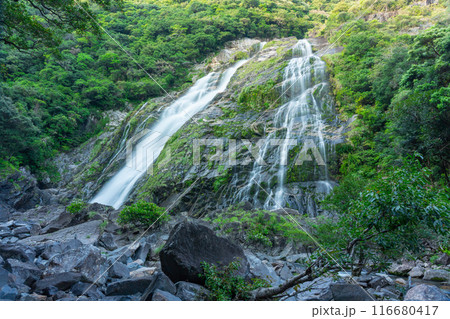 屋久島の大川の滝 屋久島の大川の滝 116680417