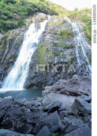 屋久島の大川の滝 屋久島の大川の滝 116680420