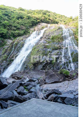 屋久島の大川の滝 屋久島の大川の滝 116680429