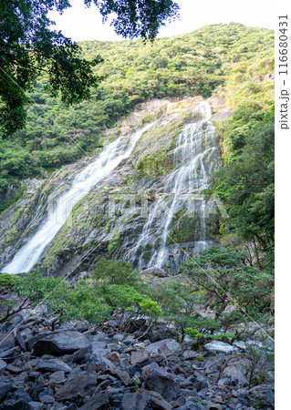 屋久島の大川の滝 屋久島の大川の滝 116680431