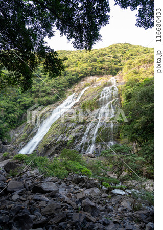 屋久島の大川の滝 116680433