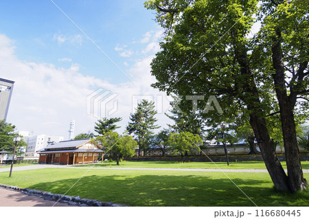 夏の山梨県甲府市の舞鶴城公園 116680445