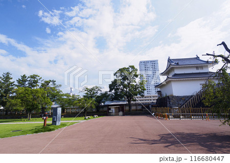 夏の山梨県甲府市の舞鶴城公園 夏の山梨県甲府市の舞鶴城公園 116680447