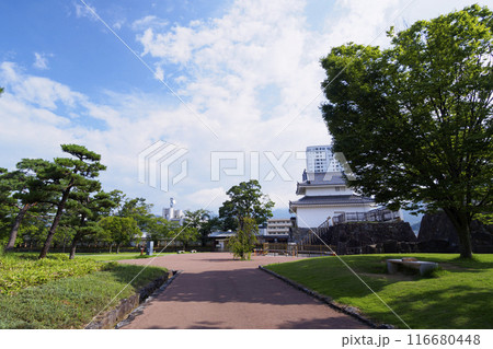 夏の山梨県甲府市の舞鶴城公園 116680448