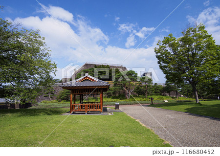 夏の山梨県甲府市の舞鶴城公園 夏の山梨県甲府市の舞鶴城公園 116680452