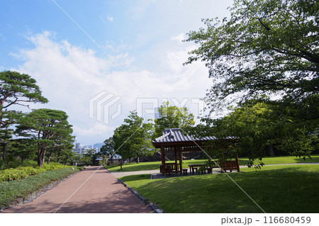 夏の山梨県甲府市の舞鶴城公園 116680459