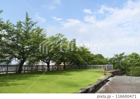 夏の山梨県甲府市の舞鶴城公園 夏の山梨県甲府市の舞鶴城公園 116680471