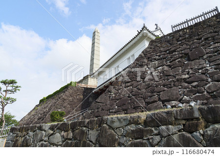 夏の山梨県甲府市の舞鶴城公園 116680474