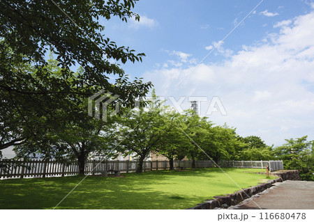 夏の山梨県甲府市の舞鶴城公園 夏の山梨県甲府市の舞鶴城公園 116680478