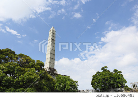 夏の山梨県甲府市の舞鶴城公園 116680483