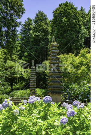 四国八十八箇所81番　白峯寺　十三重石塔　香川県坂出市 116680489