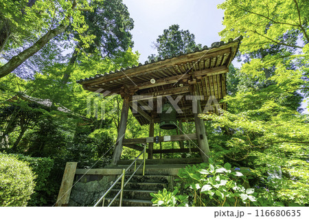四国八十八箇所81番 白峯寺 鐘楼堂 香川県坂出市 四国八十八箇所81番 白峯寺 鐘楼堂 香川県坂出市 116680635