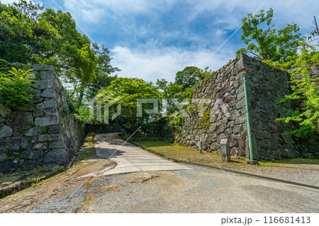 三重県松坂市　松坂城跡の石垣 116681413