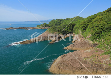 日向灘の青く美しい海に囲まれた馬ヶ背の入江の風景 116681558